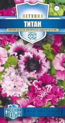 Петуния бахромчатая Титан смесь (цветной пакет, пробирка) 7шт; Гавриш фото в интернет-магазине Флоранж