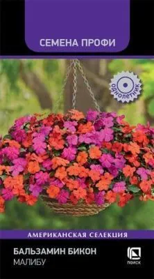 Бальзамин Бикон Малибу (цветной пакет) 7шт; Поиск фото в интернет-магазине Флоранж