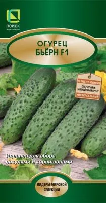 Огурец Бьёрн F1 (цветной пакет) 5шт; Поиск фото в интернет-магазине Флоранж