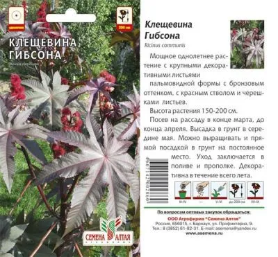 Клещевина Гибсона (цветной пакет) 3шт; Семена Алтая фото в интернет-магазине Флоранж