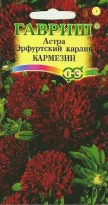 Астра Эрфуртский карлик Кармезин красная (цветной пакет) 0,3г; Гавриш фото в интернет-магазине Флоранж