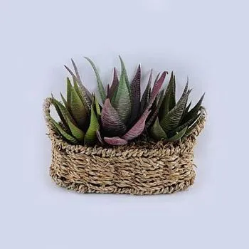Суккуленты в корзине, 21х16х18 см, зеленый
