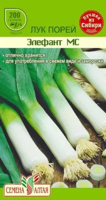 Лук Порей Элефант МС(цветной пакет) 1г; Семена Алтая фото в интернет-магазине Флоранж