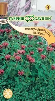 Монарда двойчатая Бергама (цветной пакет) 0,05г; Гавриш