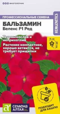 Бальзамин Беленс Ред (цветной пакет) 5шт; Семена Алтая Голландия  фото в интернет-магазине Флоранж