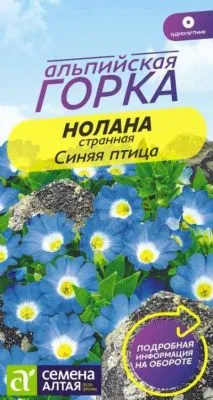 Нолана Синяя птица странная (цветной пакет) 0,3г; Семена Алтая фото в интернет-магазине Флоранж