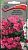 Петуния ампельная Лавина розовая (цветной пакет) 10шт; Поиск