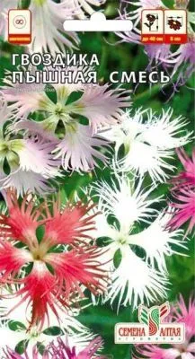 Гвоздика Смесь Пышная (цветной пакет) 0,1г; Семена Алтая фото в интернет-магазине Флоранж