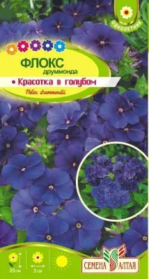 Флокс Красотка в голубом (цветной пакет) 0,05г; Семена Алтая фото в интернет-магазине Флоранж