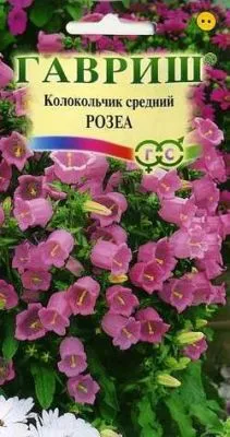 Колокольчик Розеа средний (цветной пакет) 0,1г; Гавриш фото в интернет-магазине Флоранж