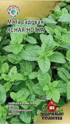 Мята Ясная нотка  (цветной пакет) 0,05г; Гавриш фото в интернет-магазине Флоранж