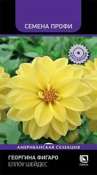 Георгина Фигаро Еллоу Шейдес (цветной пакет) 10шт; Поиск