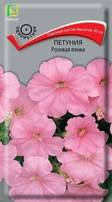 Петуния Розовая пенка (цветной пакет) 0,1г; Поиск фото в интернет-магазине Флоранж