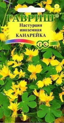 Настурция Канарейка иноземная  (цветной пакет) 0,7г; Гавриш фото в интернет-магазине Флоранж