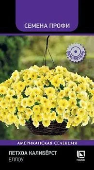 Петхоа Калибёрст Еллоу (цветной пакет) 5шт; Поиск