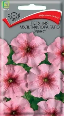 Петуния мультифлора Гало Эприкот (цветной пакет) 10шт; Поиск фото в интернет-магазине Флоранж