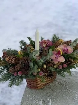 Новый год 4 фото вживую в руках, состав, цветовая гамма 