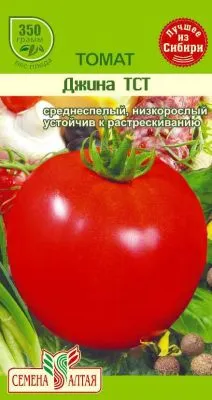 Томат Джина ТСТ(цветной пакет) 0,1г; Семена Алтая фото в интернет-магазине Флоранж