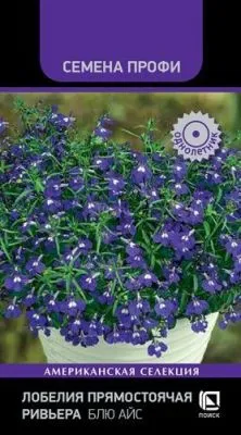 Лобелия прямостоячая Ривьера Блю Айс (цветной пакет) 10шт; Поиск фото в интернет-магазине Флоранж