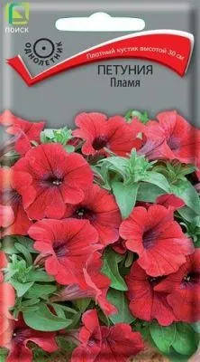 Петуния Пламя (цветной пакет) 0,1г; Поиск фото в интернет-магазине Флоранж