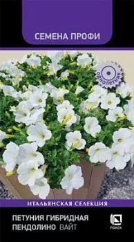 Петуния гибридная Пендолино Вайт (цветной пакет) 5шт; Поиск