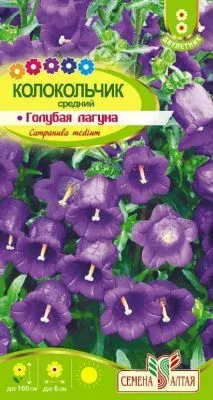 Колокольчик средний Голубая Лагуна (цветной пакет) 0,1г; Семена Алтая фото в интернет-магазине Флоранж