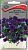 Петуния ампельная Опера Синяя (цветной пакет) 5шт; Поиск