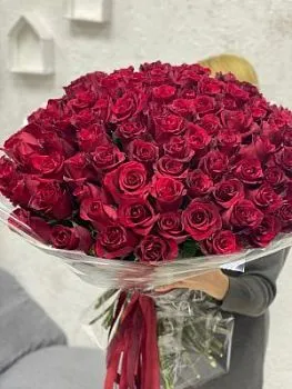 101 роза в упаковке с лентой , состав 101 роза, цвет букета Красный Бордовый, подходит Девушке Маме