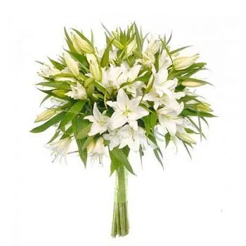 Лилия белая  фото вживую в руках, состав, цветовая гамма 