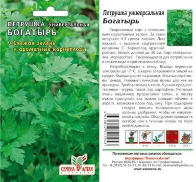 Петрушка универсальная Богатырь (цветной пакет) 1г; Семена Алтая фото в интернет-магазине Флоранж