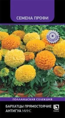 Бархатцы прямостоячие Антигуа Микс (цветной пакет) 15шт; Поиск фото в интернет-магазине Флоранж