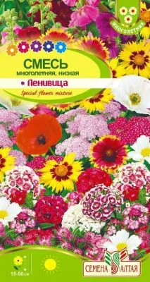 Смесь Ленивица Многолетняя (цветной пакет) 0,1г; Семена Алтая фото в интернет-магазине Флоранж