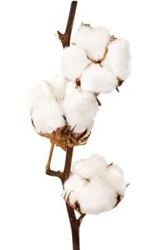 хлопок 7/9 фото вживую в руках, состав, цветовая гамма 