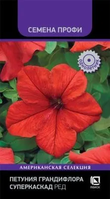 Петуния грандифлора Суперкаскад Ред (цветной пакет) 10шт; Поиск фото в интернет-магазине Флоранж