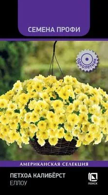 Петхоа Калибёрст Еллоу (цветной пакет) 5шт; Поиск фото в интернет-магазине Флоранж