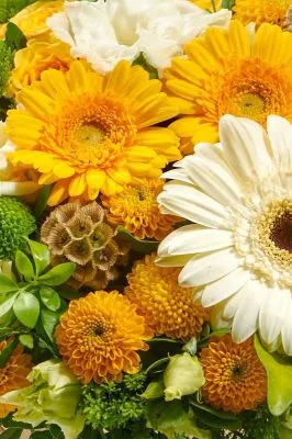 Цветы в коробке Свежесть 