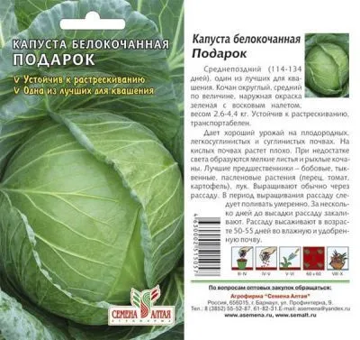 Капуста белокочанная Подарок (цветной пакет) 0,5г; Семена Алтая фото в интернет-магазине Флоранж