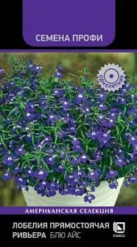 Лобелия прямостоячая Ривьера Блю Айс (цветной пакет) 10шт; Поиск