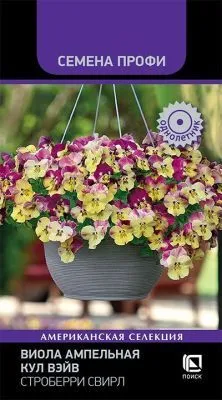 Виола ампельная Кул Вэйв Свирл (цветной пакет) 5шт; Поиск фото в интернет-магазине Флоранж