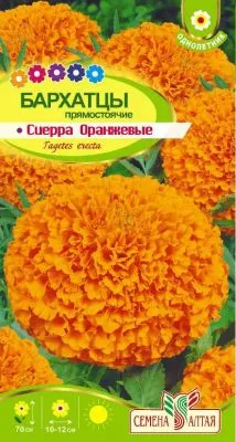 Бархатцы Сиерра Оранжевые (цветной пакет) 0,3г; Семена Алтая фото в интернет-магазине Флоранж
