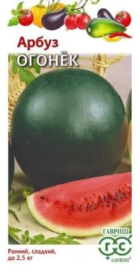 Арбуз Огонек (цветной пакет) 1г; Гавриш фото в интернет-магазине Флоранж