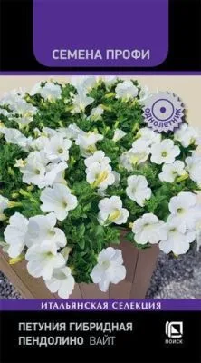 Петуния гибридная Пендолино Вайт (цветной пакет) 5шт; Поиск фото в интернет-магазине Флоранж
