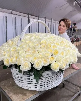 201 белая роза в корзине   в интернет-магазине Флоранж