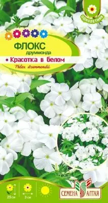 Флокс Белое Море (цветной пакет) 0,05г; Семена Алтая фото в интернет-магазине Флоранж