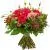 Букет Пламя страсти 