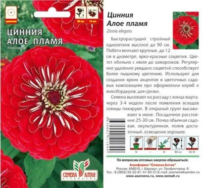 Цинния Алое пламя (цветной пакет) 0,3г; Семена Алтая фото в интернет-магазине Флоранж