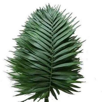 чико типс фото вживую в руках, состав, цветовая гамма 