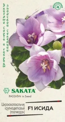 Ширококолокольчик крупноцветковый (Платикодон) Исида F1 (цветной пакет) 4шт; Гавриш фото в интернет-магазине Флоранж