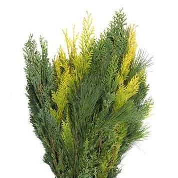 кониферен микс фото в интернет-магазине Флоранж