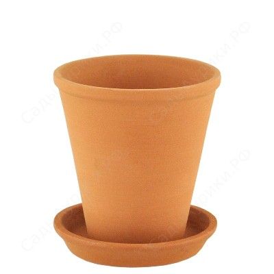 Горшок Конус высокий 2, терра, 11х12см, Россия фото в интернет-магазине Флоранж